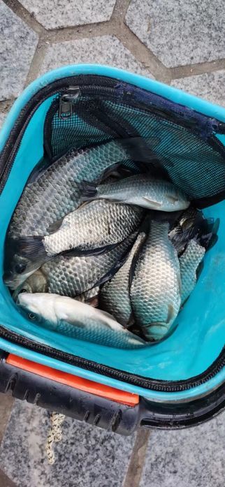 四年橋筏之路,盤點橋筏究竟需要哪些裝備? 四年橋筏之路,盤點橋筏究竟需要哪些裝備?