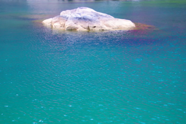 河南旅遊：寶泉冰雪節完美收官，鬱金香踏青賞花節即將開幕