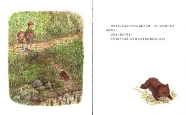 中國的“凱迪克”大獎又頒獎了，這些優秀，精良的國產繪本要推進