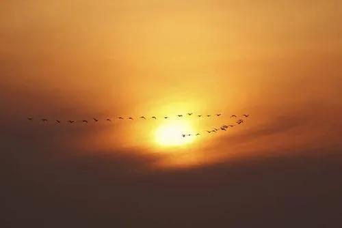 燕山亭 晚秋偶感