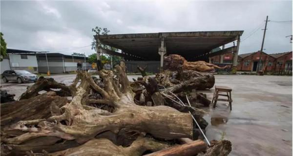 投200萬雕一巨獅300萬沒賣,開價1000萬沒人要,當廢品擱置5年 投200萬雕一巨獅300萬沒賣,開價1000萬沒人要,當廢品擱置5年