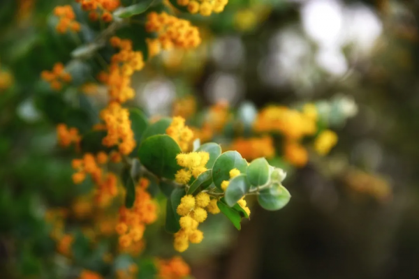 四大名著40句大俗話：話俗，理不俗！