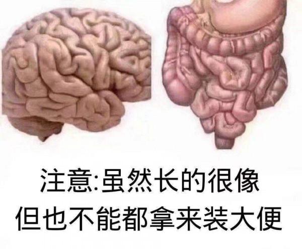 請善待你的腸子，腸道細菌不僅影響腦子還影響藥效