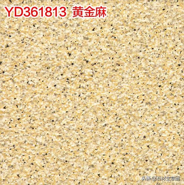 生態地鋪石欣賞