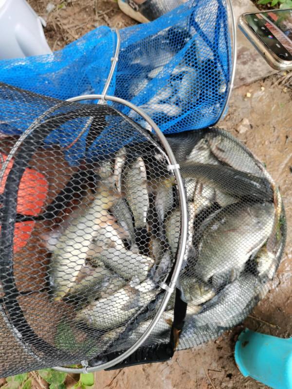 首次野釣爆護 首次野釣爆護