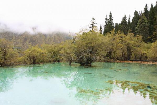 看川西彩林 這一條環線就夠了 畢棚溝-米亞羅-奶子溝-卡龍溝-牟尼溝