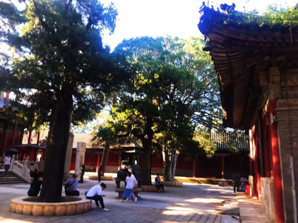 初秋到戒臺寺尋覓禪境，還有佛教最高等級的戒壇可以參觀~