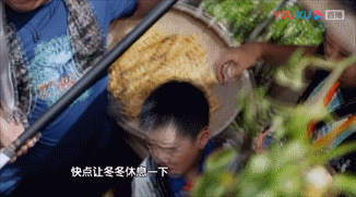 他是徐崢御用小演員,10歲提名百花獎,人小鬼大演技堪稱影帝 他是徐崢御用小演員,10歲提名百花獎,人小鬼大演技堪稱影帝