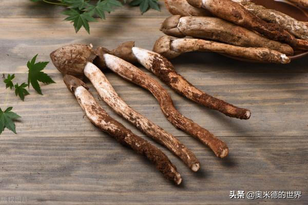 中國最早開通國際動車的“雲南省”的20個冷知識,你知道幾個? 中國最早開通國際動車的“雲南省”的20個冷知識,你知道幾個?