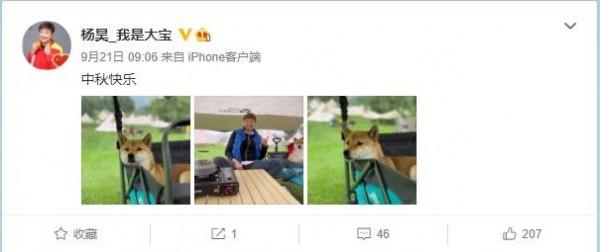 女排奧運冠軍楊昊，中秋攜寵物狗野餐，商人丈夫已近10年未出現