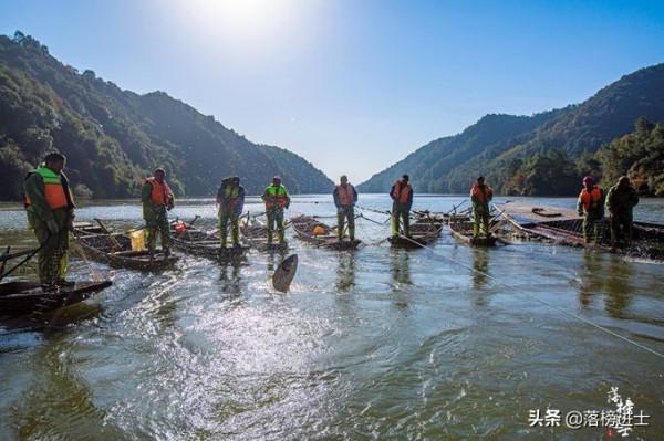 江西新餘仙女湖精彩的打漁，氣勢壯觀，品嚐一魚七吃的鮮嫩美味