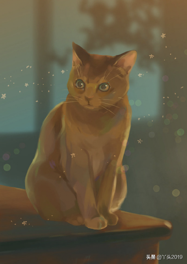 超可愛的小貓咪，好想擼一擼#插畫桌布#