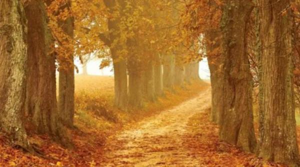 雪花飛揚，美景如畫