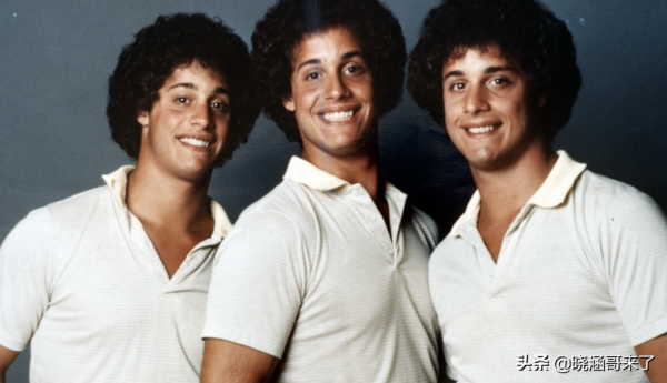 三胞胎實驗，出生就被分開放入不同的家庭，後來的人生有何不同？