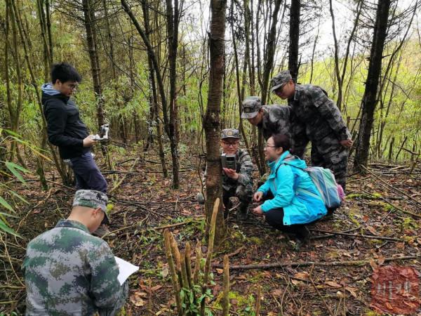 小徐進山Vlog | 在無人秘境做熊貓“撿屎官”是怎樣的體驗? 小徐進山Vlog | 在無人秘境做熊貓“撿屎官”是怎樣的體驗?