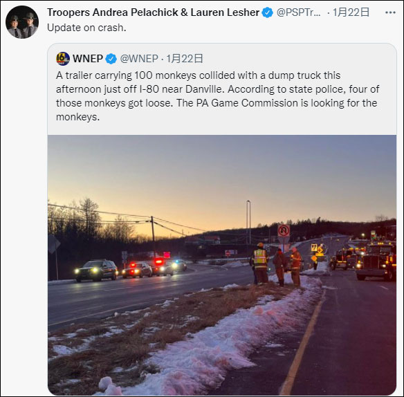 美國上演真實驚悚劇，美生化實驗室，逃逸4只&OpenCurlyDoubleQuote;實驗體&rdquo;猴子