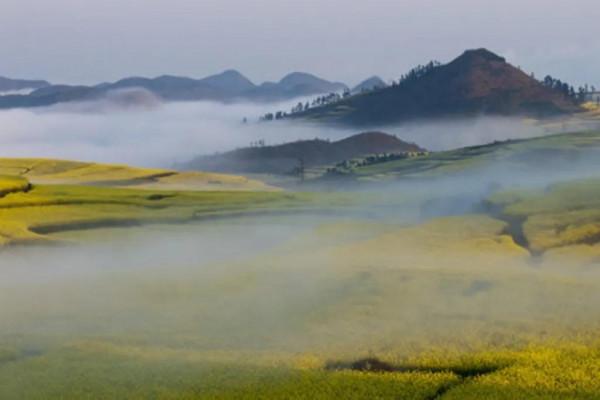 分享—十萬大山風光