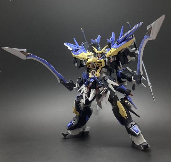 近距離格鬥戰型災厄高達模型