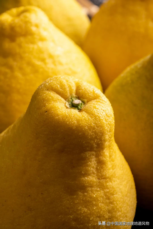 557億斤！5個第一！3個第二！水果大省廣西，到底有多“豪”？
