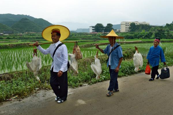 中秋回鄉感悟：走親戚像“走過場”，農村過得越來越像城市了