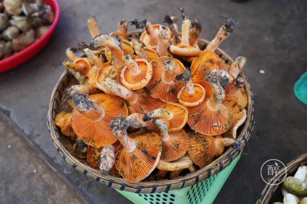 1小時飛攏的城市,有全國最好逛的市場 1小時飛攏的城市,有全國最好逛的市場