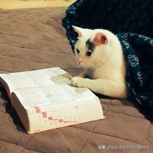 雨水 &vert; 計算機科學家如何理解&OpenCurlyDoubleQuote;學習&rdquo;