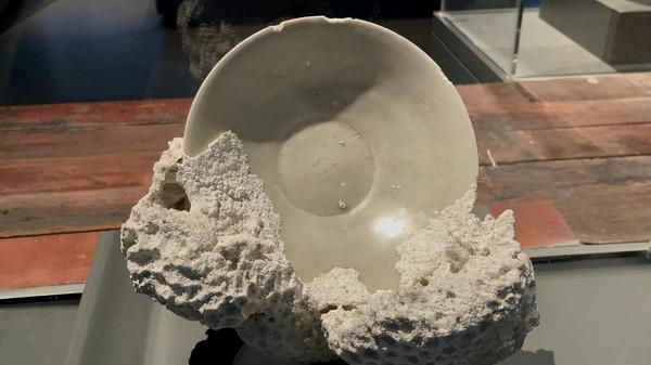 南海博物館看過嗎？琉璃與玻璃哪個在先？上了船有什麼不該說的