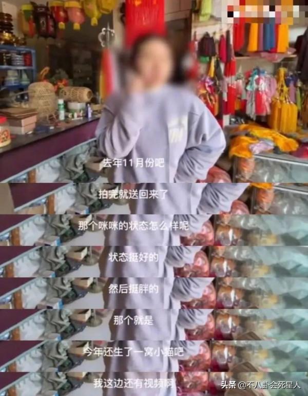 於正新劇虐貓事件進展!群演曝貓真正死因,澄清作假後劇方仍沉默 於正新劇虐貓事件進展!群演曝貓真正死因,澄清作假後劇方仍沉默