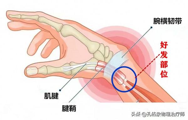 正處在更年期的您，是否遭受著頸肩背痛的折磨？告知您如何應對