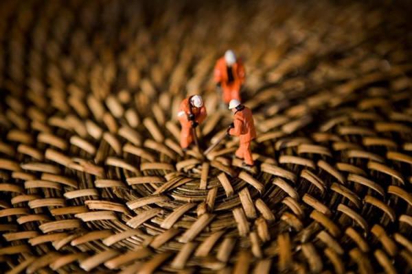 清朝人發現&OpenCurlyDoubleQuote;小人國&rdquo;，人們身高僅23釐米，國王的坐騎是隻&OpenCurlyDoubleQuote;雞&rdquo;