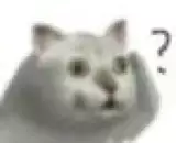 貓總尿床被帶去醫院做檢查,獸醫:這貓是弱智... 貓總尿床被帶去醫院做檢查,獸醫:這貓是弱智...