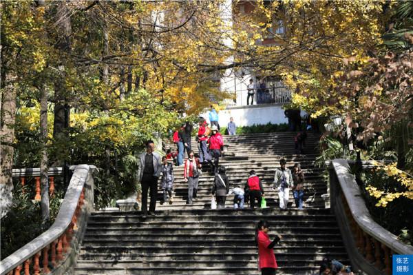 世界春城80佳排行榜：昆明穩居第一，為何中國還有這7座城市入圍