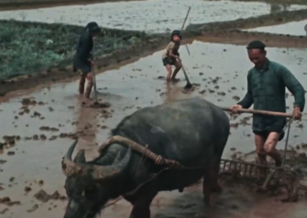 這就是被蘇聯封存的彩色絕版影像，真實展現了1949年的中國，震撼