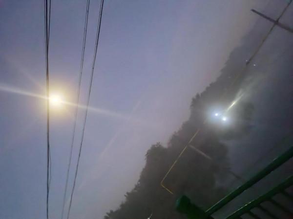 為什麼深秋西南風不好釣魚