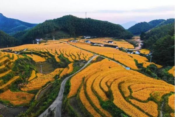 粵閩贛十大冷門景點，人少景美好玩