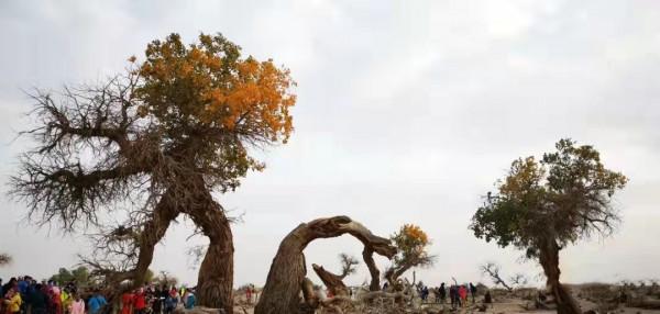 我們為什麼要去旅行? 我們為什麼要去旅行?