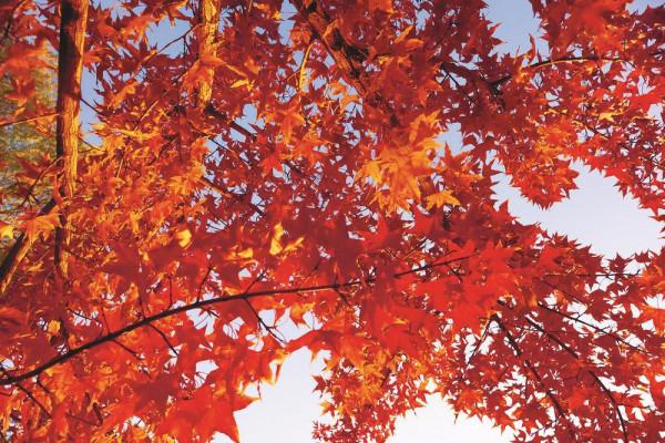 迷人的城市色彩