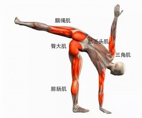 為什麼說女人一定要多練瑜伽半月式? 為什麼說女人一定要多練瑜伽半月式?