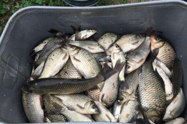 初春釣魚，要知道&OpenCurlyDoubleQuote;4釣、4不釣&rdquo;，瞭解清楚，新手也能輕鬆爆護