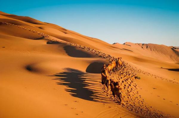 甘肅,不折不扣的“人間天堂”,25個景點美了千年,卻低調萬年~ 甘肅,不折不扣的“人間天堂”,25個景點美了千年,卻低調萬年~