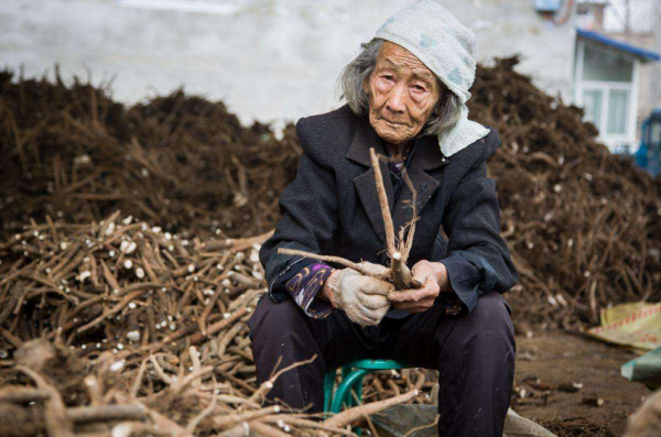 農村60歲以上老人，一年要掙多少錢才夠花？網友：3萬夠不夠？