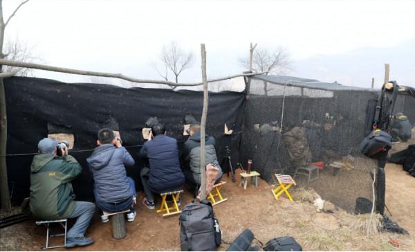 16年，放羊老農發現幾隻“金雞”，誤當鳳凰養4年，後有意外收穫