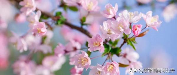 詩詞｜10首經典詩詞：初讀只覺驚豔，再讀已是人生