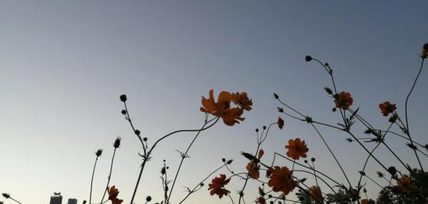 有文化的王大哥選擇的生活