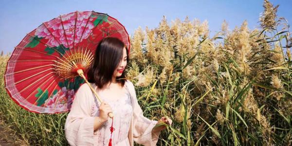 我們為什麼要去旅行? 我們為什麼要去旅行?