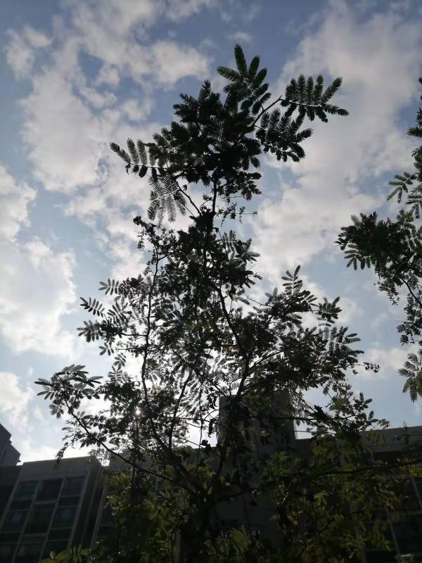 雲彩下的山城系列（九）