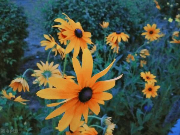 本週運勢（2.14-2.20）：射手座、天蠍座、處女座