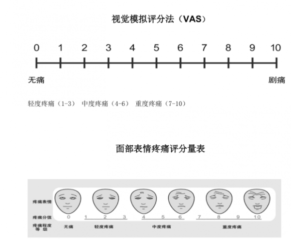 VAS評分圖大展神獸