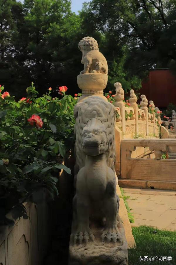 走故宮西路，先看那燦若星河的各代瓷器，彷彿踏入流淌的歷史長河