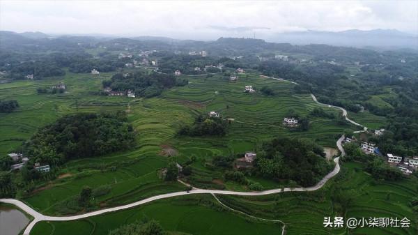 農村新的“整治”，3種“小生意”一律被禁止？專家：抓到要嚴懲